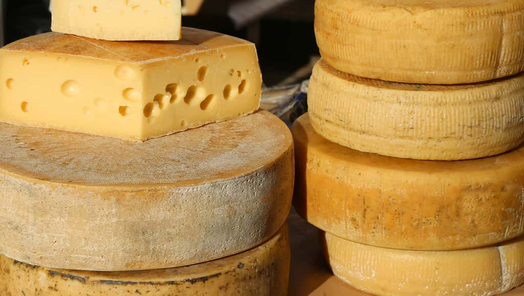 Conservation Du Fromage Comment Sy Prendre 